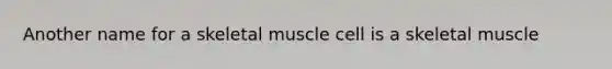 Another name for a skeletal muscle cell is a skeletal muscle