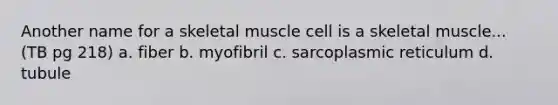 Another name for a skeletal muscle cell is a skeletal muscle... (TB pg 218) a. fiber b. myofibril c. sarcoplasmic reticulum d. tubule