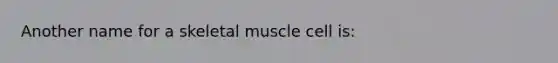 Another name for a skeletal muscle cell is: