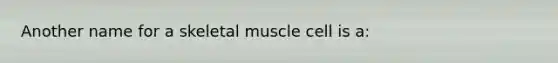 Another name for a skeletal muscle cell is a: