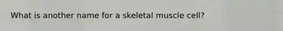 What is another name for a skeletal muscle cell?