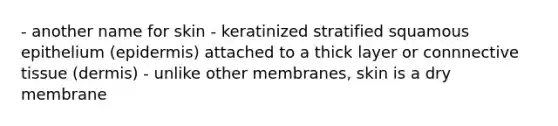 - another name for skin - keratinized stratified squamous epithelium (epidermis) attached to a thick layer or connnective tissue (dermis) - unlike other membranes, skin is a dry membrane