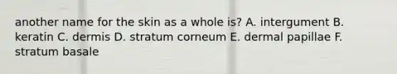 another name for the skin as a whole is? A. intergument B. keratin C. dermis D. stratum corneum E. dermal papillae F. stratum basale