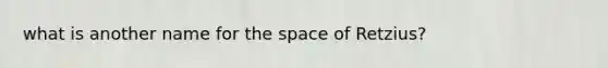 what is another name for the space of Retzius?