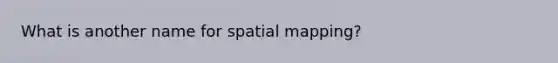 What is another name for spatial mapping?