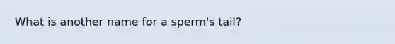 What is another name for a sperm's tail?