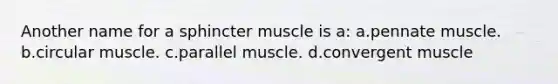 Another name for a sphincter muscle is a: a.pennate muscle. b.circular muscle. c.parallel muscle. d.convergent muscle