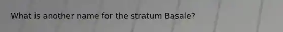 What is another name for the stratum Basale?