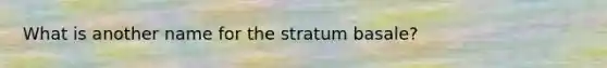 What is another name for the stratum basale?