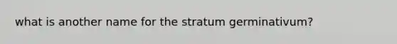 what is another name for the stratum germinativum?