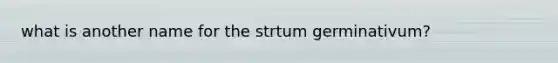 what is another name for the strtum germinativum?