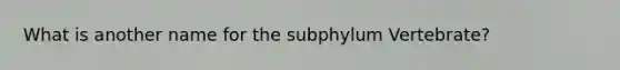 What is another name for the subphylum Vertebrate?