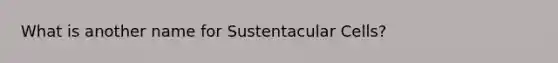 What is another name for Sustentacular Cells?