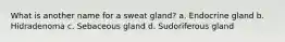 What is another name for a sweat gland? a. Endocrine gland b. Hidradenoma c. Sebaceous gland d. Sudoriferous gland