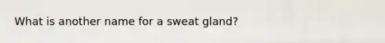 What is another name for a sweat gland?