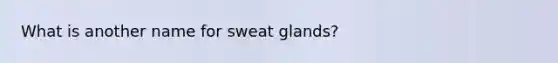 What is another name for sweat glands?