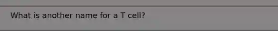 What is another name for a T cell?