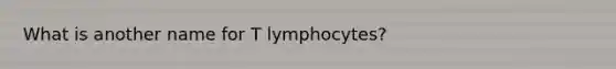 What is another name for T lymphocytes?