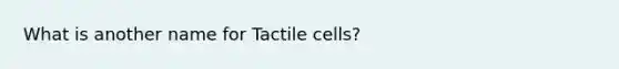 What is another name for Tactile cells?