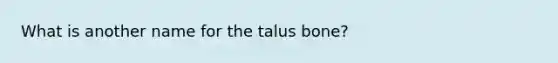 What is another name for the talus bone?