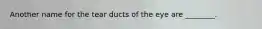 Another name for the tear ducts of the eye are ________.