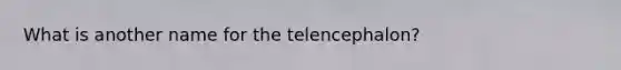 What is another name for the telencephalon?