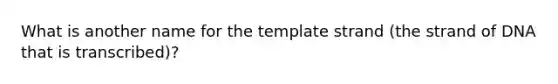 What is another name for the template strand (the strand of DNA that is transcribed)?