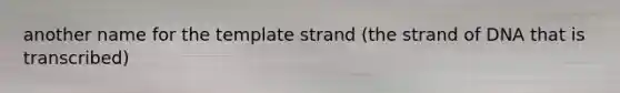 another name for the template strand (the strand of DNA that is transcribed)