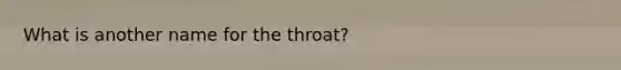 What is another name for the throat?