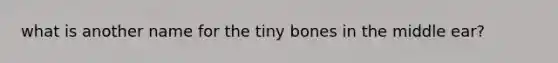 what is another name for the tiny bones in the middle ear?