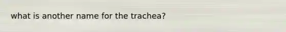 what is another name for the trachea?