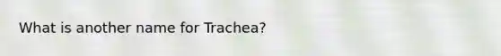 What is another name for Trachea?