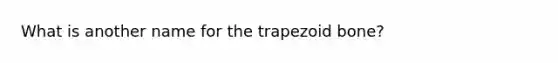 What is another name for the trapezoid bone?