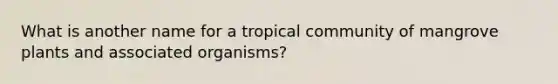 What is another name for a tropical community of mangrove plants and associated organisms?