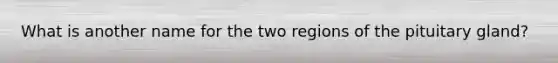 What is another name for the two regions of the pituitary gland?