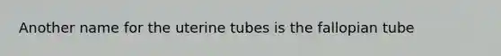 Another name for the uterine tubes is the fallopian tube