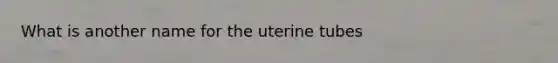 What is another name for the uterine tubes