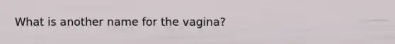 What is another name for the vagina?