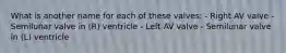 What is another name for each of these valves: - Right AV valve - Semilunar valve in (R) ventricle - Left AV valve - Semilunar valve in (L) ventricle