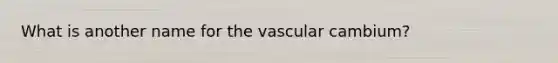 What is another name for the vascular cambium?