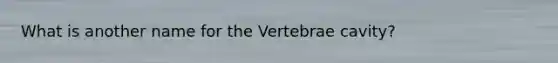 What is another name for the Vertebrae cavity?