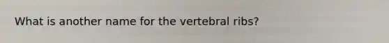 What is another name for the vertebral ribs?