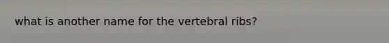 what is another name for the vertebral ribs?