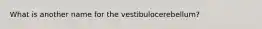 What is another name for the vestibulocerebellum?