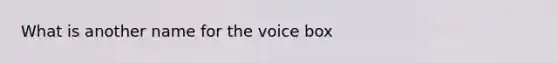 What is another name for the voice box