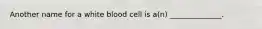 Another name for a white blood cell is a(n) ______________.