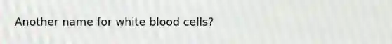 Another name for white blood cells?