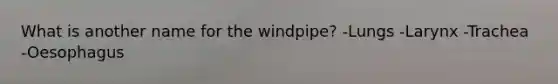 What is another name for the windpipe? -Lungs -Larynx -Trachea -Oesophagus