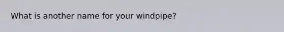 What is another name for your windpipe?