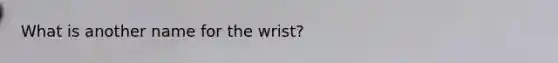 What is another name for the wrist?